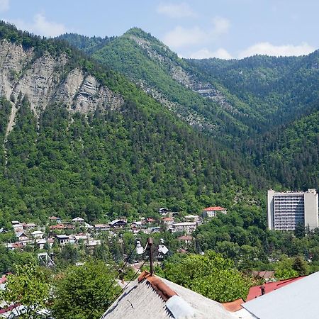 Guest House Salome Borjomi Luaran gambar
